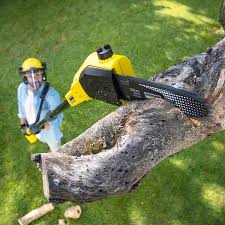 Best Pest Control for Lawns  in Bloomington, IL